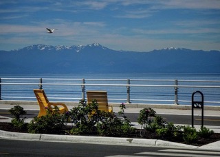 Dallas Road waterfront in James Bay looking toward the Olympic Mountains